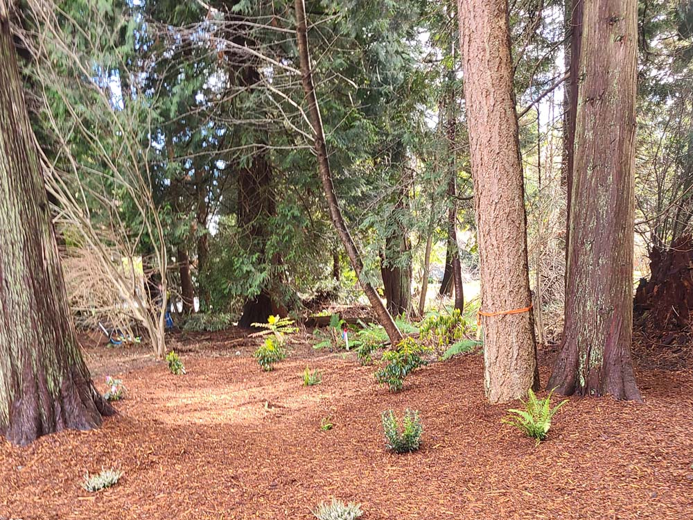 Ground Busters Work Example #7